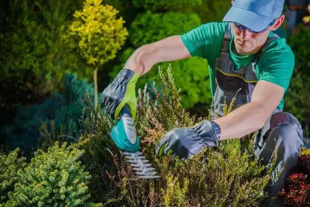 landscaping services McKinley Heights
